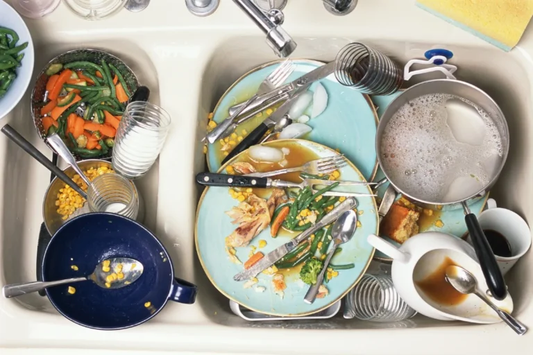 Why You Should Wash Dishes Right After Eating